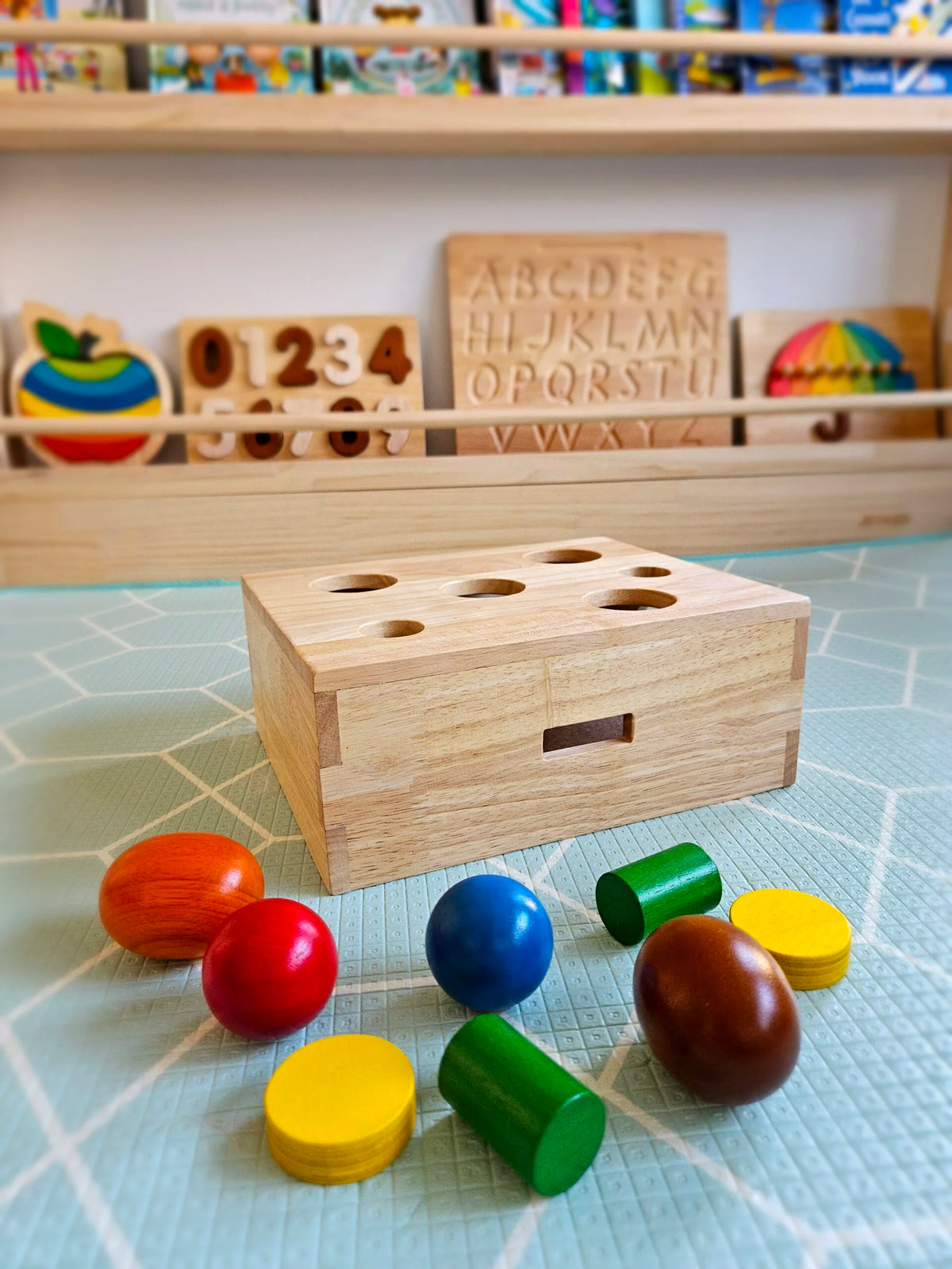 Boîte Montessori de Tri et Motricité Fine